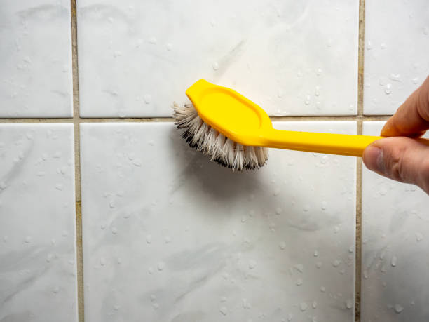 Best Bathroom Mold Remediation in Hazel Crest, IL