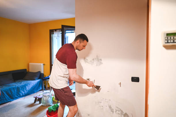 Best Post-Flood Mold Remediation in Hazel Crest, IL